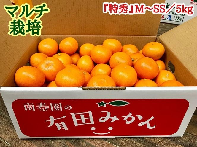 定期便 有田みかん 食べくらべ 3種 特秀 各 5kg コース 全3回　南泰園 BS810