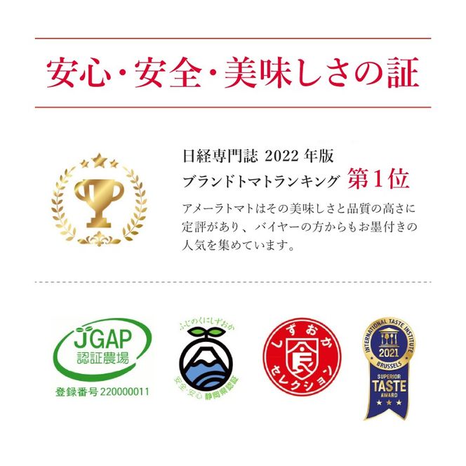 アメーラ トマト ミニトマト 10パック セット アメーラルビンズ 高糖度 7.5以上 化粧箱入り 産地 直送 新鮮 旬の 野菜 高級 フルーツトマト 甘い 静岡県 藤枝市