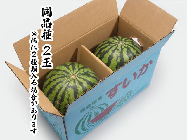 先行予約 訳あり 工藤さんが作ったスイカ 2玉 約7～8kg 品種おまかせ スイカ すいか 果物 くだもの フルーツ 旬の果物 旬のフルーツ 季節のフルーツ デザート 訳アリ 青森 青森県 鰺ヶ沢町