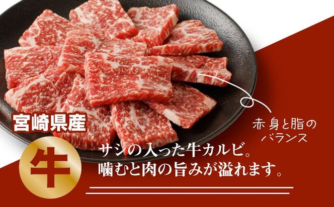  宮崎県産焼肉３種セット【タレ付き】（牛・豚・鶏） 計６００ｇ  カット済み  K16_0079_1