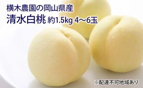 桃 2026年 先行予約 清水 白桃 約1.5kg 4～6玉 もも モモ 岡山県産 国産 フルーツ 果物 ギフト 横木農園 清水白桃 スイーツ 
