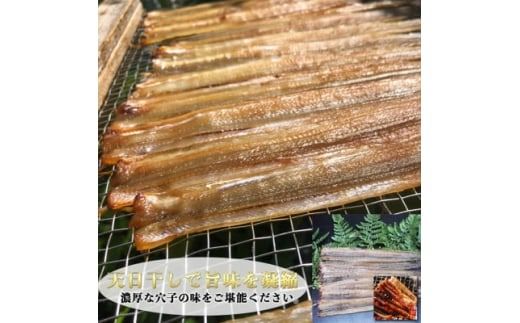 岬だよりの＜天然あなごから作る＞あなごの干物5袋セット