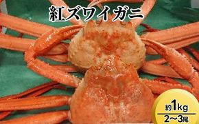 【おすすめ】紅ズワイガニ約1kg（2～3尾）【棚辺水産】※2025年9月中旬～2026年3月下旬頃に順次発送予定　※離島への配送不可
