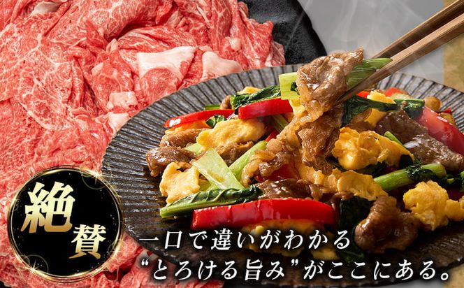 宮崎牛切り落とし1kg_MJ-8908_(都城市) 宮崎県産 宮崎牛 牛肉 A4ランク 切り落とし 切落し 250g × 4パック 小分け  1kg 牛丼 炒め物 便利