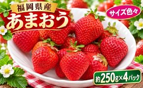 いちご 2027年2月より発送 うるう農園のあまおう サイズ色々4パック 約1kg 果物 フルーツ デザート 食後 特別栽培 福岡県産 国産 日本産 ※配送不可：離島
