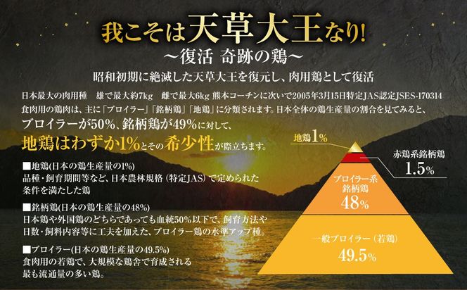 天草大王プレミアムバーべキューセット（大） 計6パック 天草大王 焼鳥 手羽先 串 ウインナー コロコロカット