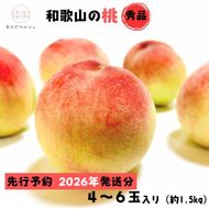 【2026年先行予約】【夏の美味】フルーツ王国 和歌山の桃 4～6玉(約1.5kg) ｜ もも モモ 桃 国産 フルーツ 果物 果実 お取り寄せ ギフト デザート スイーツ 贈り物