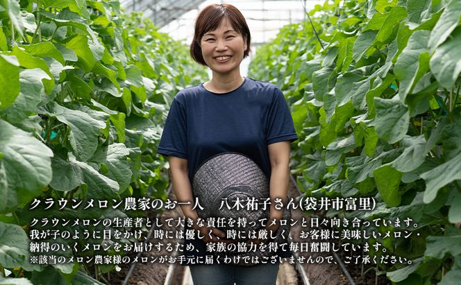 クラウンメロン【並（白等級）】中玉（1.3kg前後）2玉入り 人気 厳選 ギフト 贈り物 デザート グルメ 果物 袋井市 果物類 メロン青肉 フルーツ