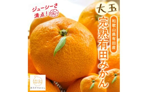 【果汁たっぷり】迫力満点！ 大粒 完熟有田みかん 家庭用 サイズ混合(2L～4L)　約7.7kg(7.5kg+200g)【2026年11月中旬～1月中旬頃に順次発送予定】【ard226A】