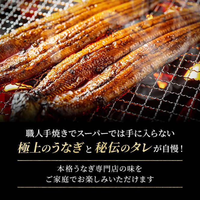 国産うなぎ 特大 蒲焼き 約230g前後 1尾 国産 うなぎ ウナギ 鰻 国産鰻 うなぎの蒲焼き ウナギの蒲焼 国産うなぎ蒲焼 国産鰻の蒲焼 魚 お魚 魚介 魚介類 海鮮 海鮮セット 惣菜 職人 手焼き ギフト 贈り物 プレゼント 福井 福井県 若狭町