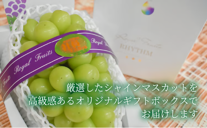 【2026年先行予約】厳選品 大粒シャインマスカット1房/700g以上 (岡山県産) 【KF-B060-03】