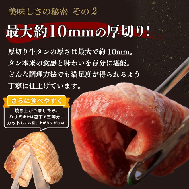 厚切り牛タン（塩）500g  (500ｇ×1パック) 【1477】