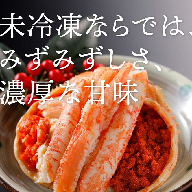 甲羅盛り かに セコガニの甲羅盛 鳥取からお届け！ 15個入り 313726_BS087