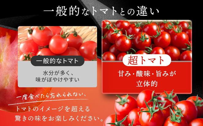 出雲の國からの贈り物～トマトを超えた超トマト２kg 322032_AT002