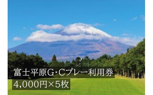 富士平原G・Cプレー利用券 5枚 [小山町内 ゴルフ場 共通利用券]