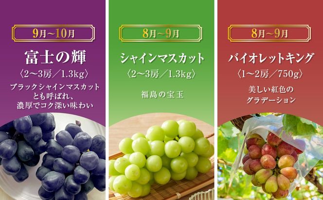 【先行予約 2025年発送】＼ぶどう６種食べくらべ定期便／ 6回発送 冷蔵 高級 種無し 種なし シャインマスカット ブドウ ぶどう 品種 果物 フルーツ 巨峰 美味しい 希少 人気 福島県 田村市 鈴木農園 N000-006