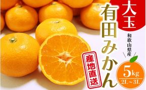 【先行予約】＼ みかんの名産地 和歌山県産／ 農家直送 大玉 有田みかん 5kg （2L～3L） ひとつひとつ手選別で厳選【2024年11月下旬頃発送予定】/【hdm001-1A】