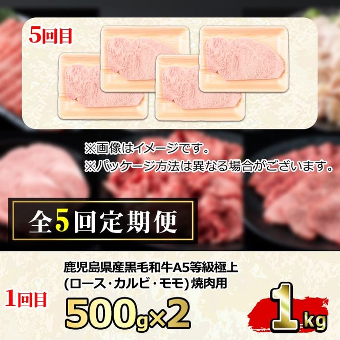 【2401710b】＜定期便・連続全5回＞鹿児島県産 黒毛和牛 A5等級 牛づくし定期便(5ヶ月連続・合計約5.2kg) 国産 牛肉 ロース モモ カルビ 切り落とし サーロインステーキ サイコロステーキ 定期便 鹿児島 焼肉 しゃぶしゃぶ すき焼き 【前田畜産たかしや】