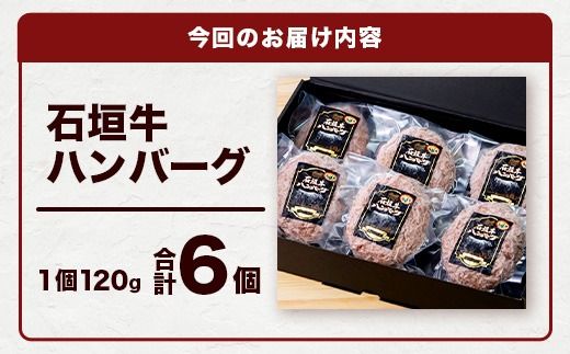 やえやまファームの石垣牛ハンバーグ 6個セット E-27