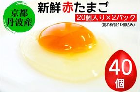 新鮮 卵 京都・丹波の赤たまご 計40個（30個+卵割れ保証10個）｜ 生卵 たまご 鶏卵 小分け 贈答 ギフト ※北海道・沖縄・離島への配送不可