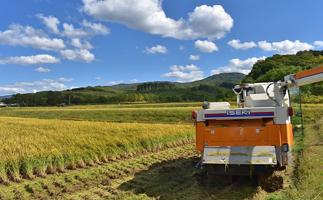 銀山米研究会の玄米＜ゆめぴりか＞20kg（5kg×4袋）【機内食に採用】 ライス ブランド米 おにぎり お弁当 北海道産 産地直送 主食 ご飯 朝ごはん 夜ごはん 昼ごはん [株式会社 松原米穀]