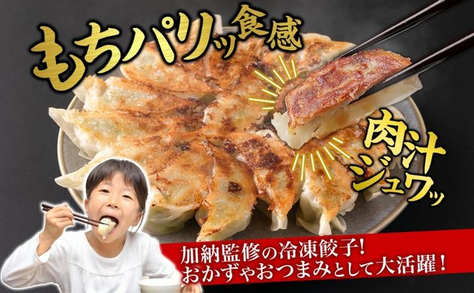 【加納の王道】餃子 冷凍生餃子 50個 生餃子 冷凍餃子 ギョーザ おかず 総菜 おつまみ つまみ ごはんのお供 中華 家庭用 お取り寄せ まとめ買い 大容量 冷凍食品 焼き餃子 冷凍 神奈川 神奈川県 茅ヶ崎市