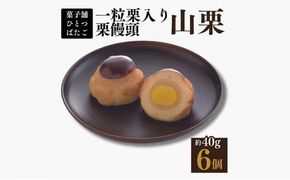 饅頭 一粒栗入り栗饅頭 山栗 6ケ入 白あん 一粒栗 岐阜県中津川市 F4N-1425