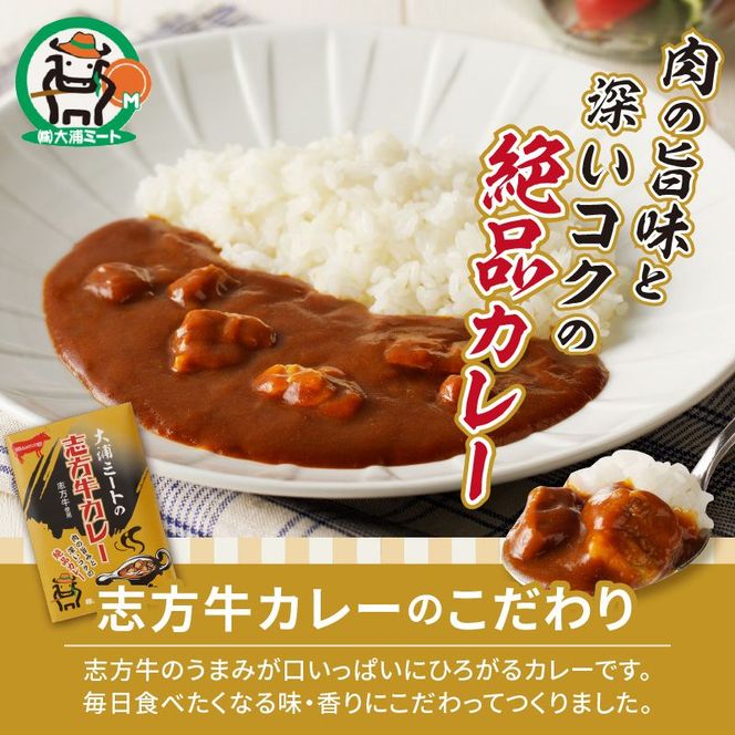 大浦ミート特製 志方牛カレー 5個セット【2400I00212】