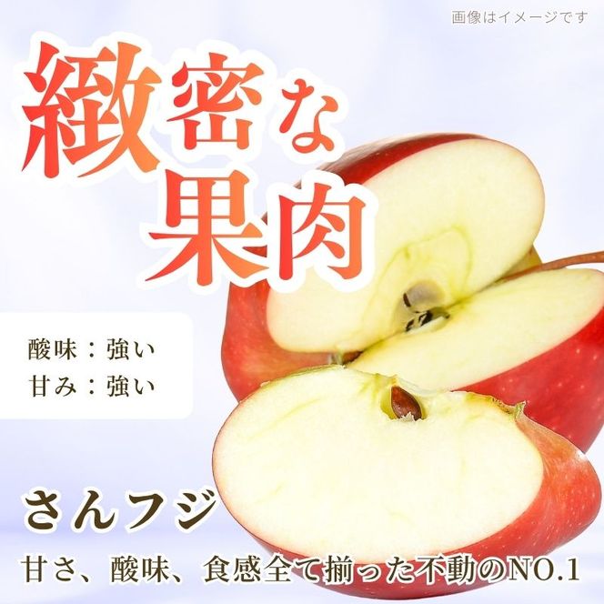 りんご 先行予約 サンふじ 秀品 約 3kg (7～11玉) フルーツ 果物 冬 2026年 12月発送
