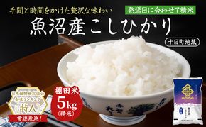 魚沼産こしひかり 棚田米(十日町地域) 精米 5kg 米 お米 コシヒカリ 十日町市