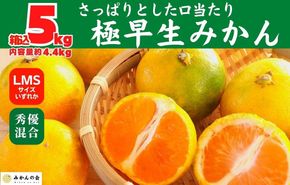 みかん 極早生 箱込 5kg (内容量約 4.4kg)  S/M/Lサイズのいずれか 秀品 優品 混合 有田みかん 和歌山県産 【みかんの会】［2026年10月上旬頃より順次発送予定］ AX369