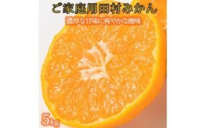【ご家庭用訳あり】田村みかん　5kg ※2026年11月下旬～2027年1月下旬頃発送(お届け日指定不可)【uot754A】