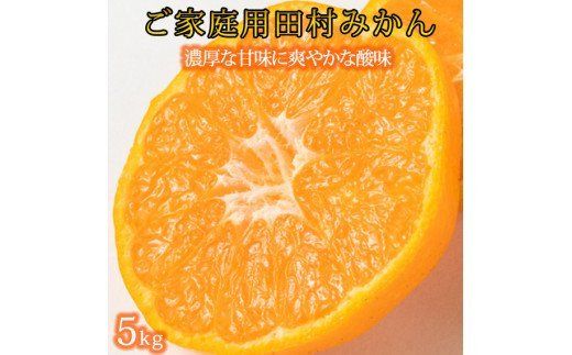 【ご家庭用訳あり】田村みかん　5kg ※2026年11月下旬～2027年1月下旬頃発送(お届け日指定不可)【uot754A】