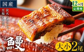 【12ヶ月定期便】うなぎ 大小 2尾  国産 鰻 真空パック おすすめ うなぎの蒲焼 《お申込み翌月から出荷》 ふるさとのうぜい 特上 簡易包装 ウナギ unagi 蒲焼 秋 冬 旬 配送時期 冷凍---mifune_lcl_1338_mo12---
