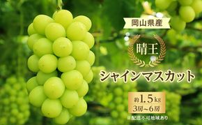 ぶどう 2026年 先行予約 シャイン マスカット 晴王 3房～6房 約1.5kg 8月下旬～11月下旬発送 ブドウ 葡萄 岡山県産 国産 フルーツ 果物 ギフト 