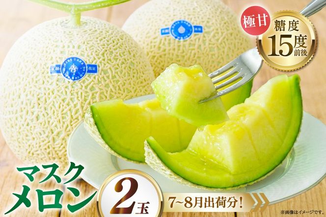 AJ651 【令和8年7-8月出荷分】 堀農園 マスクメロン 2玉 [ メロン めろん 青肉メロン 黄緑 果物 フルーツ おいしい 甘い 堀農園 長崎県 島原市 ]