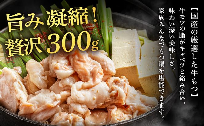 魚住商店特製 国産牛もつ使用 塩もつ鍋セット(2～3人前)【魚住商店】_HA2018 〆のチャンポン麺付き 国産モツ鍋 鍋 ホルモン 肉 もつ 国産もつ鍋 塩もつ鍋 塩モツ鍋 出汁つき 小分け 個包装 冷凍 惣菜 お惣菜 おかず おすすめ 福岡県宗像市