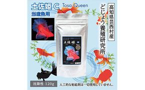 【CF-R7hbk】KGC003　土佐姫 C 120g 当歳魚用 ＜最高級 フィッシュフード EPA・DHA配合 沈降性 金魚 餌＞ 土佐錦 琉金 和金 地金 コメット【餌 えさ エサ】【観賞魚 餌やり】【水槽/熱帯魚/観賞魚/飼育】【生体】【アクアリウム/あくありうむ】