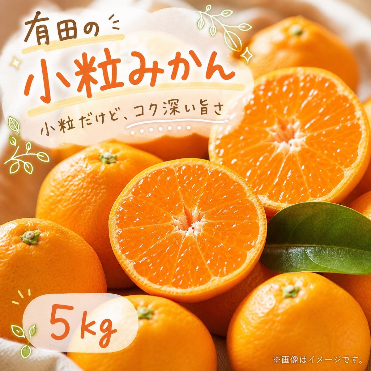 有田の小粒みかん 約5kg (S〜3Sサイズ混合)[2026年11月下旬以降発送][先行予約][UT134] 303446_XF91174