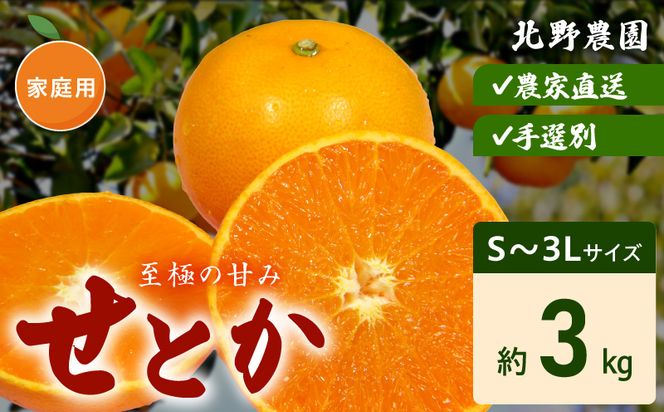 DZ6207_ご家庭用 せとか 和歌山 有田 S～3Lサイズ 大きさお任せ 3kg