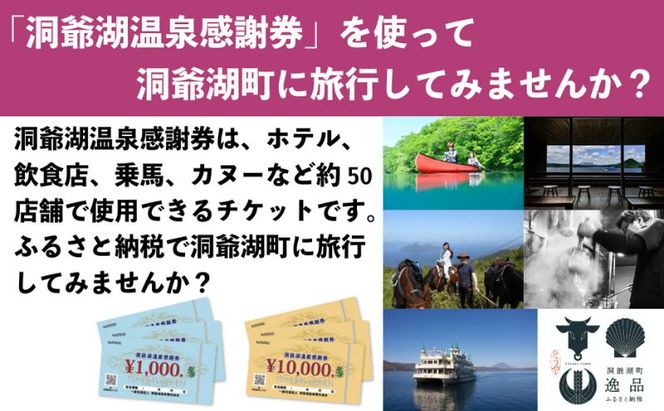 洞爺湖温泉感謝券 45000円 分 金券 クーポン 洞爺湖 湖 温泉 リゾート 有珠山 火山 自然 花火 イルミネーション 旅行 観光 宿泊 施設 北海道 