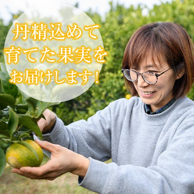 ＜先行予約受付中！2026年12月下旬以降順次発送予定＞訳あり！スイートスプリング(約20kg) 国産 鹿児島県産 阿久根市産 柑橘 みかん 果物 フルーツ デザート ご家庭用 ご自宅用 【有限会社まなべみかん園】akn034-17