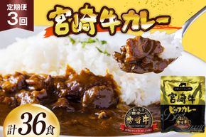 カレー 3回 定期便 レトルト 宮崎牛カレー 160g 12袋 総計36袋 [九州産商 宮崎県 日向市 452061182] 小分け ビーフカレー 宮崎 牛 常備食 保存食 中辛 宮崎牛 備蓄