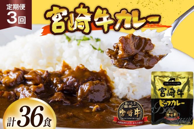 カレー 3回 定期便 レトルト 宮崎牛カレー 160g 12袋 総計36袋 [九州産商 宮崎県 日向市 452061182] 小分け ビーフカレー 宮崎 牛 常備食 保存食 中辛 宮崎牛 備蓄