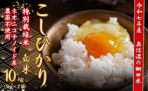 【令和7年産】 特別栽培米 『奥信濃の棚田米 実の里』 こしひかり 精米 10㎏ (7-20A) 