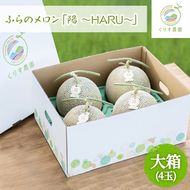 【2026年7月上旬より順次発送】ふらのメロン「陽 ～HARU～」大箱(8kg以上：大玉×4玉) ( 赤肉 )( くりす農園 )