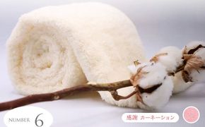 超無撚糸 タオル 【 わたのはな No.6 】 1枚 （ 感謝 カーネーション ） 薄手 贅沢 感触 軽量 ギフトボックス ギフト 贈り物