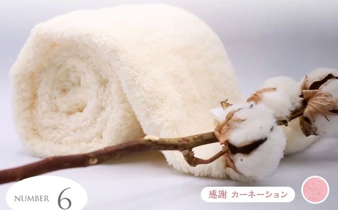 超無撚糸 タオル 【 わたのはな No.6 】 1枚 （ 感謝 カーネーション ） 薄手 贅沢 感触 軽量 ギフトボックス ギフト 贈り物