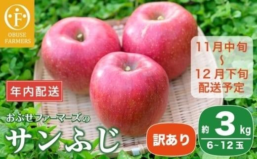 y쌧z{zy󂠂zyNzz Tӂ 3kg 6`12 mԂt@[}[Yn N ʕ t[c  s KiO ƒp ь S ӂ 쌧 MB ʌ 2025 ߘa7NY y2025N11{`12{zz 1215ϊm蕪܂ŔNz