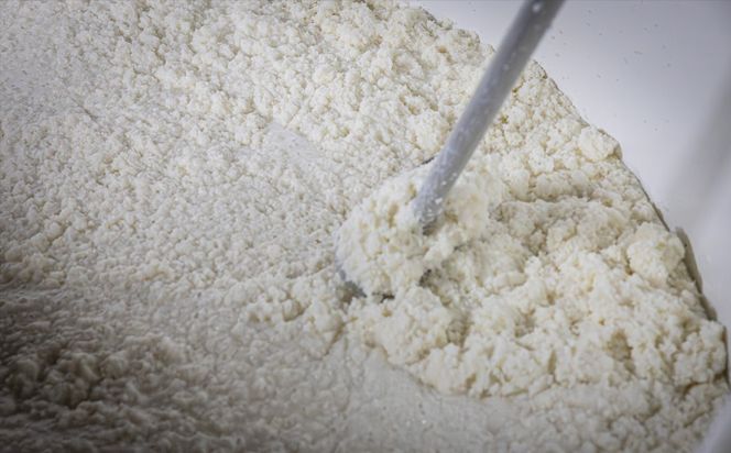 銘水の里「四日市」の酒 「MARUYON」1800ml 神楽酒造【まるよん、マルヨン、日本酒、酒、数量限定、限定品、プレミアム、三重県、四日市市、ふるさと納税】